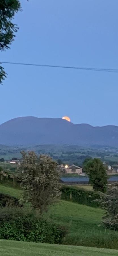 The View At 37 B&B Banbridge Esterno foto