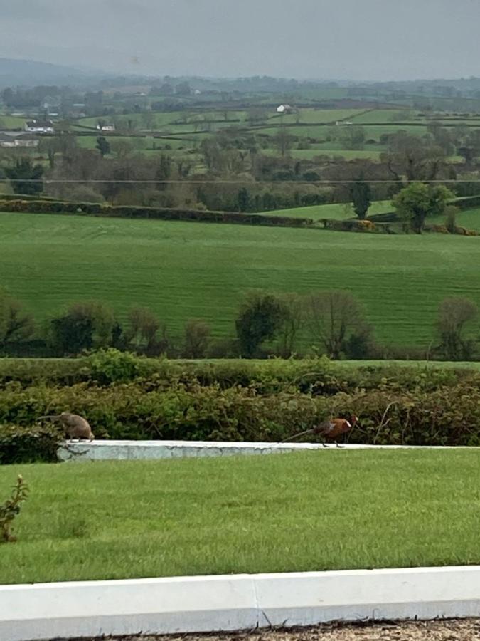 The View At 37 B&B Banbridge Esterno foto