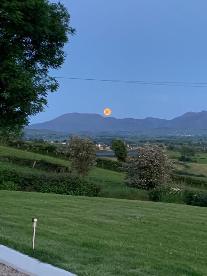 The View At 37 B&B Banbridge Esterno foto