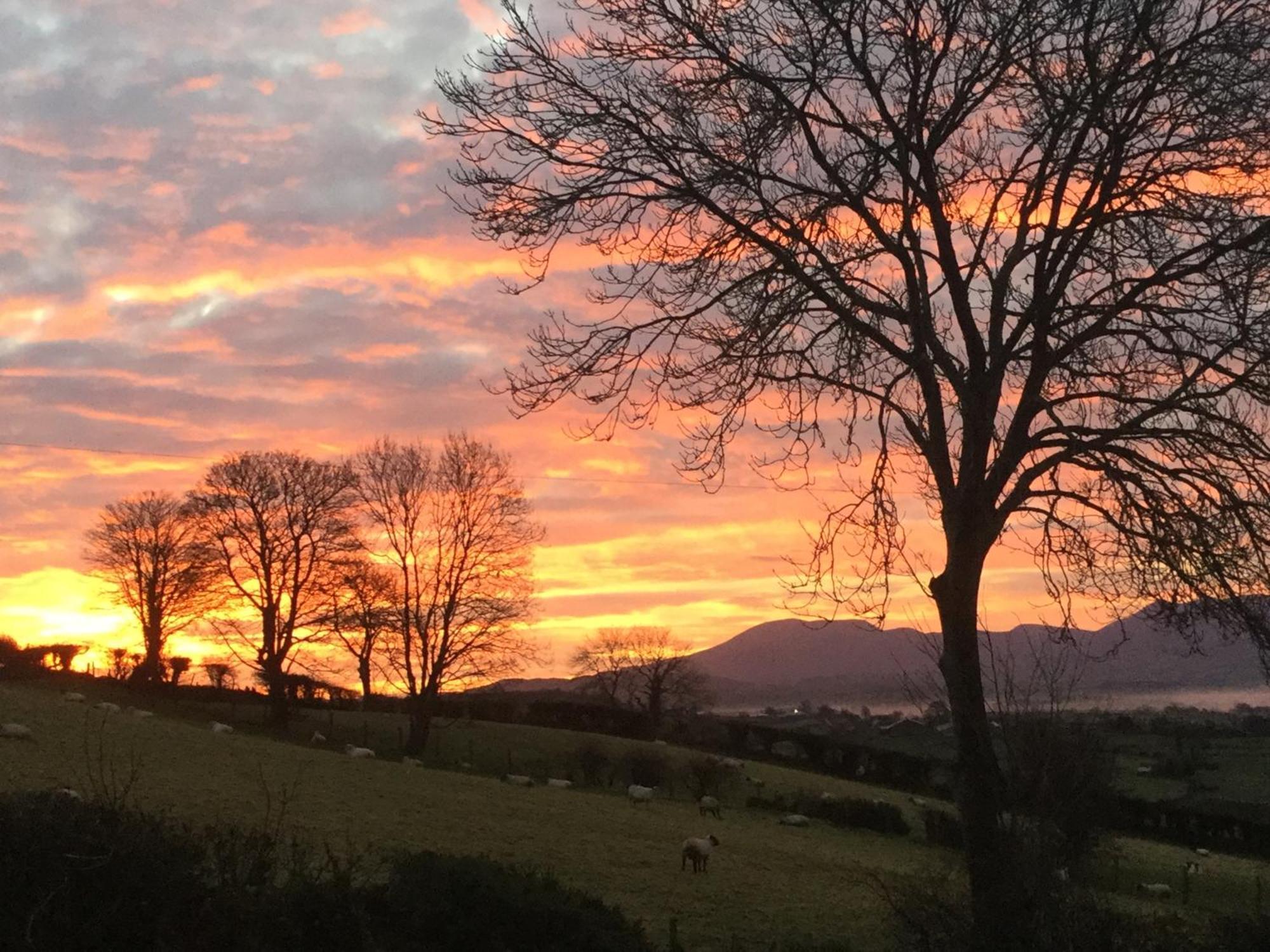 The View At 37 B&B Banbridge Esterno foto
