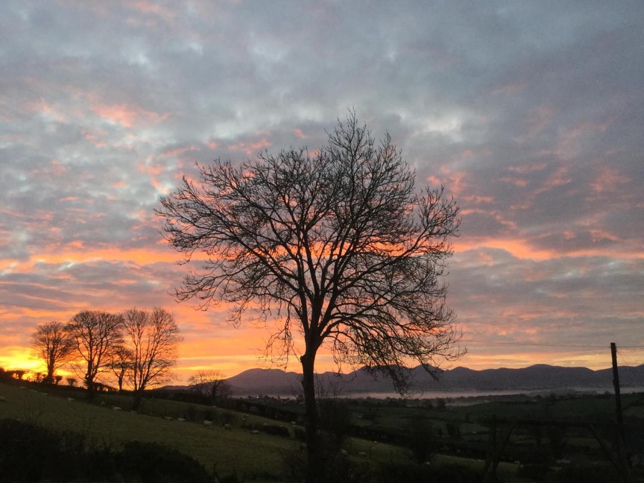The View At 37 B&B Banbridge Esterno foto